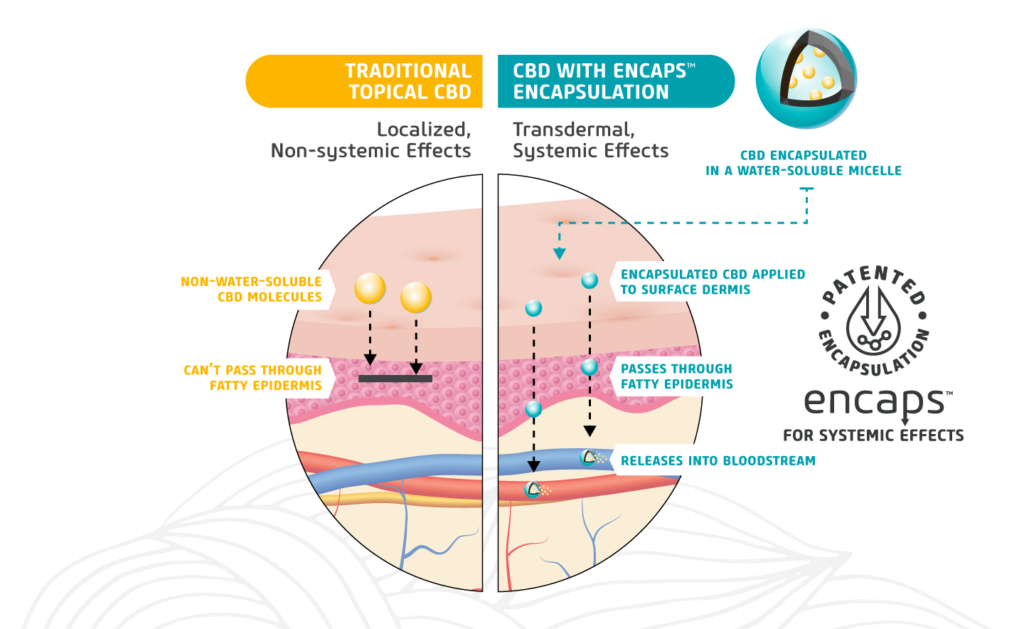 Patented Encapsulation vs Traditional CDB Explanation Graphic