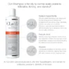 CLn Shampoo - Image 2
